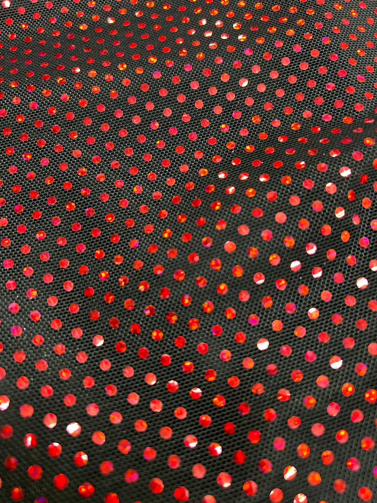 Hologram Sequins Mesh