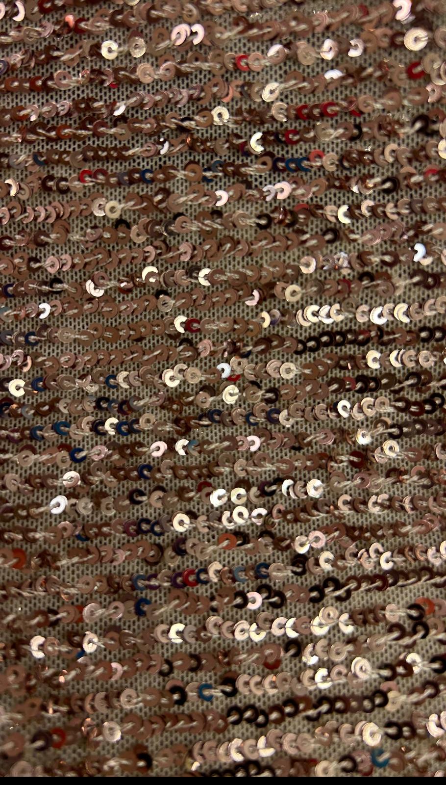 Sequin With Stretch Mesh