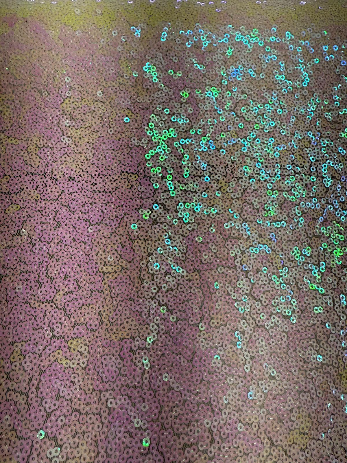 Iridescent Sequins With Mesh